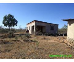 MUSHA/ RURAL HOME FOR SALE
