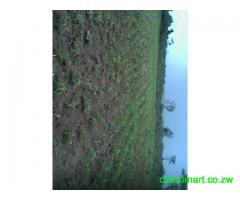 Rural Home for sale 8 hectares
